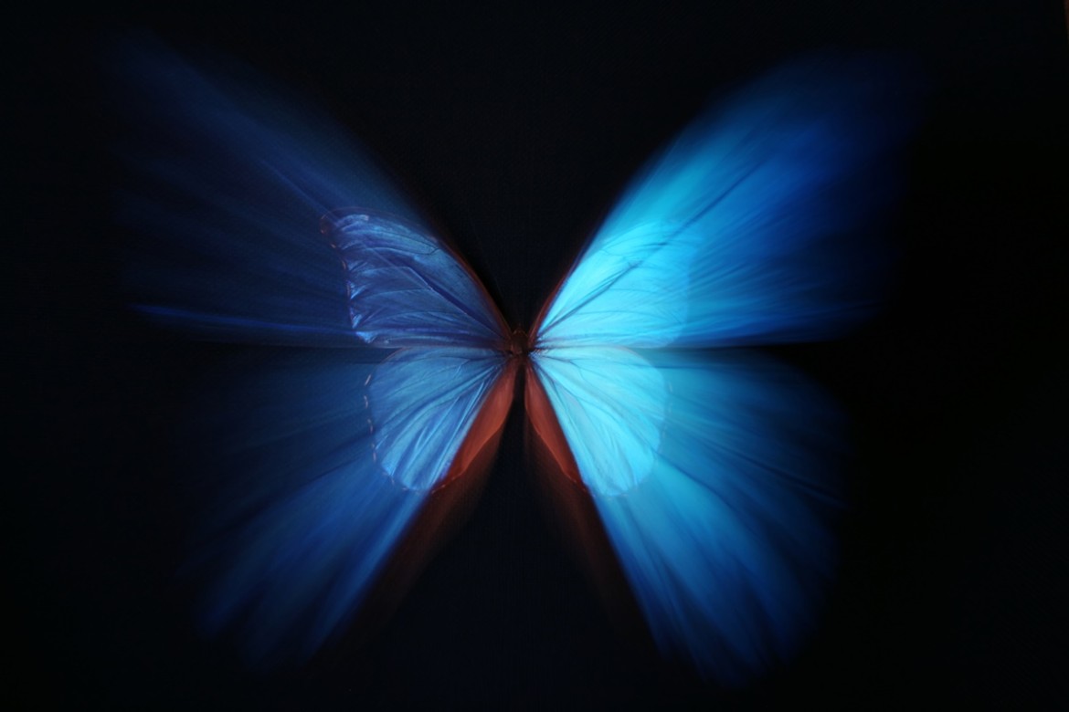 Ilustração do efeito borboleta mostrando pequenas asas batendo que causam grandes mudanças no futuro.